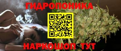 дмт Волжск
