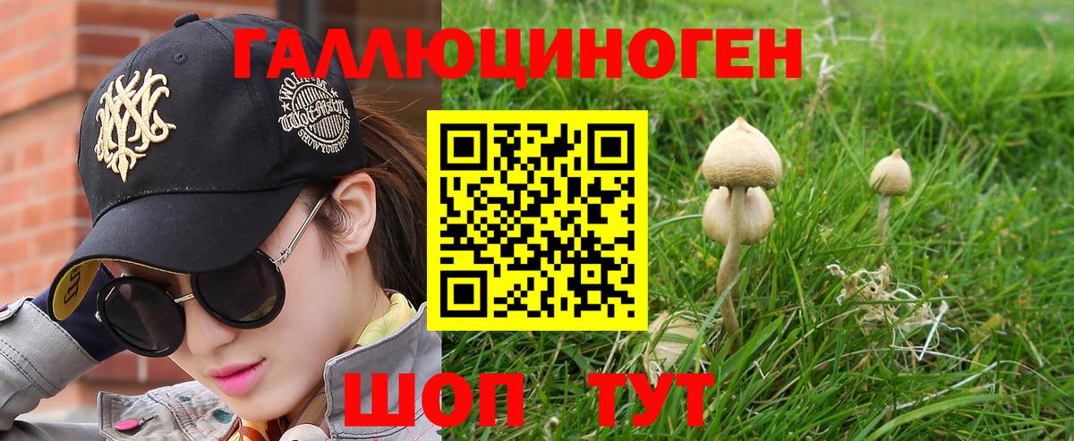 Галлюциногенные грибы Psilocybe  Псилоцибиновые грибы Psilocybine cubensis  Можга  продажа наркотиков  Вход с VPN 
