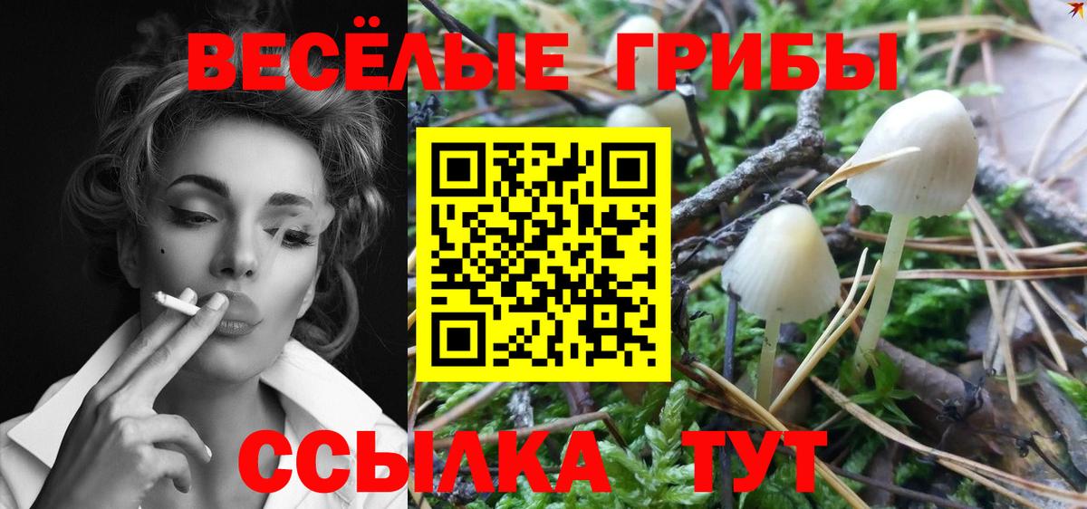 Псилоцибиновые грибы ЛСД Можга